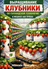 Выращивание клубники по голландской технологии в мешках или трубах
