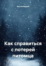 Как справиться с потерей питомца
