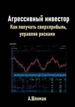 Агрессивный инвестор. Как получать сверхприбыль, управляя рисками