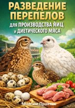 Разведение перепелов для производства яиц и диетического мяса