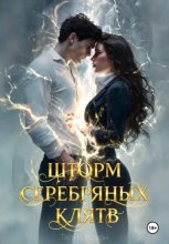Шторм серебряных клятв