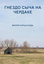 Гнездо сыча на чердаке