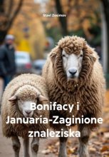 Bonifacy i Januaria-Zaginione znaleziska