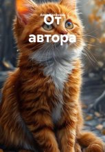 От автора