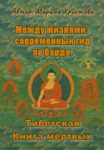 Между жизнями: современный гид по бардо. Тибетская Книга мёртвых