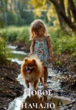 Новое начало