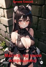Мастер, ты такой извращенец!