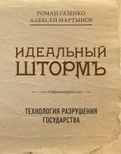 Идеальный шторм. Технология разрушения государства