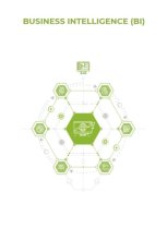 Business Intelligence (BI)