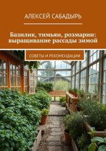 Базилик, тимьян, розмарин: выращивание рассады зимой. Советы и рекомендации