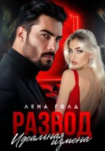 Развод. Идеальная измена