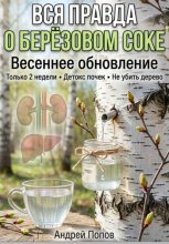Вся правда о берёзовом соке: весеннее обновление