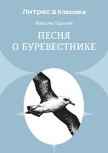 Песня о буревестнике