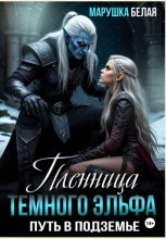 Пленница темного эльфа. Путь в Подземье