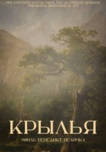 Крылья