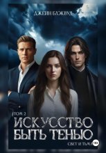Искусство быть Тенью. Свет и Тьма. Том 2