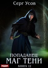 Попаданец. Маг Тени. Книга 12