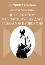 Повесть о том, как один мужик двух генералов прокормил