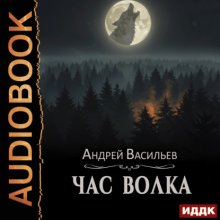 Ровнин. Книга 4. Час волка