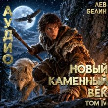Новый каменный век. Том IV