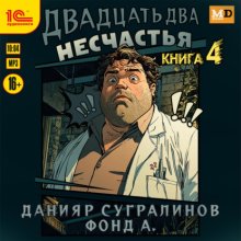 Двадцать два несчастья. Книга 4