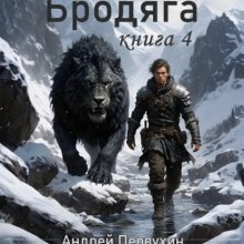 Бродяга. Книга четвёртая