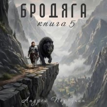 Бродяга Книга пятая