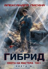 Гибрид. Книга 14. Охота на мастера. Том 1