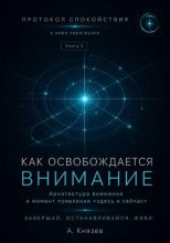 Протокол спокойствия в мире перегрузки 3