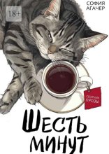 Шесть минут. Сборник прозы