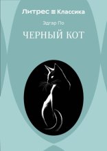 Черный кот