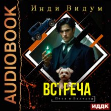 Петя и Валерон. Книга 7. Встреча