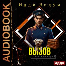 Петя и Валерон. Книга 8. Вызов