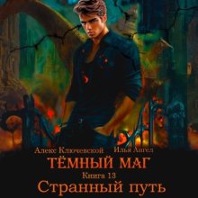 Тёмный маг. Книга 13. Странный путь