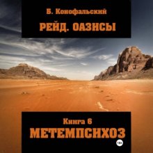 Рейд. Оазисы книга 6 МЕТЕМПСИХОЗ