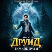 Друид. Том 8. Зимние травы