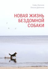 Новая жизнь бездомной собаки