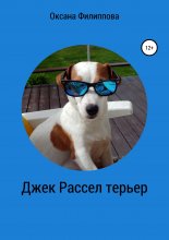 Джек Рассел терьер