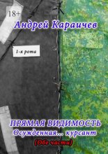 Прямая видимость. Осужденная… курсант