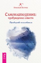 Самонаблюдение: пробуждение совести. Руководство пользователя