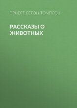 Рассказы о животных