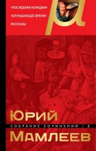 Собрание сочинений. Том 2. Последняя комедия. Блуждающее время. Рассказы