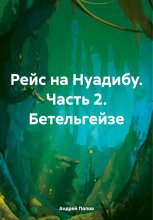 Рейс на Нуадибу. Часть 2. Бетельгейзе